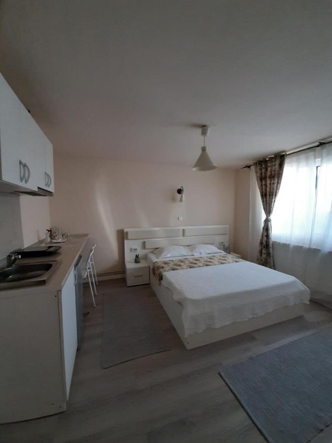 Casa Flamingo Hotell Craiova Exteriör bild